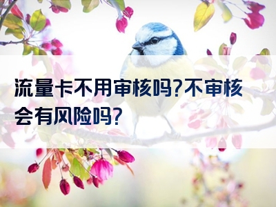流量卡不用审核吗？不审核会有风险吗？