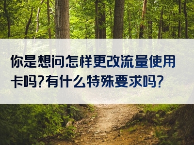 你是想问怎样更改流量使用卡吗？有什么特殊要求吗？