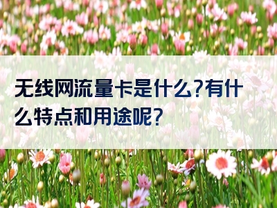 无线网流量卡是什么？有什么特点和用途呢？