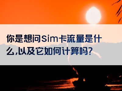 你是想问sim卡流量是什么，以及它如何计算吗？