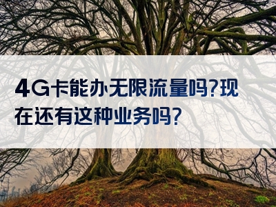 4G卡能办无限流量吗？现在还有这种业务吗？