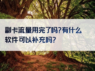 副卡流量用完了吗？有什么软件可以补充吗？