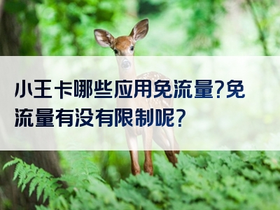 小王卡哪些应用免流量？免流量有没有限制呢？
