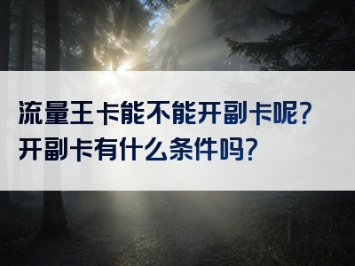 流量王卡能不能开副卡呢？开副卡有什么条件吗？