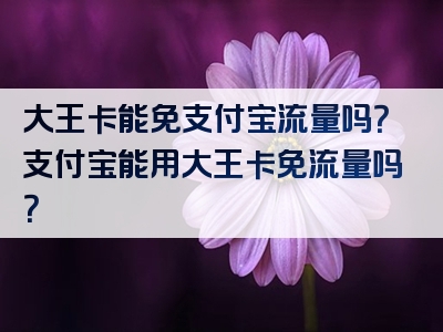 大王卡能免支付宝流量吗？支付宝能用大王卡免流量吗？