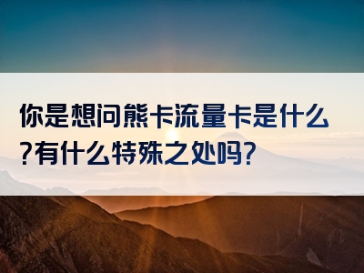 你是想问熊卡流量卡是什么？有什么特殊之处吗？