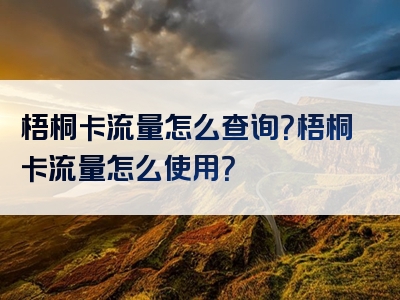 梧桐卡流量怎么查询？梧桐卡流量怎么使用？