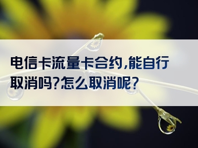 电信卡流量卡合约，能自行取消吗？怎么取消呢？