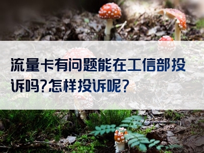 流量卡有问题能在工信部投诉吗？怎样投诉呢？