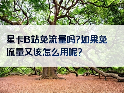 星卡B站免流量吗？如果免流量又该怎么用呢？