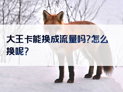 大王卡能换成流量吗？怎么换呢？