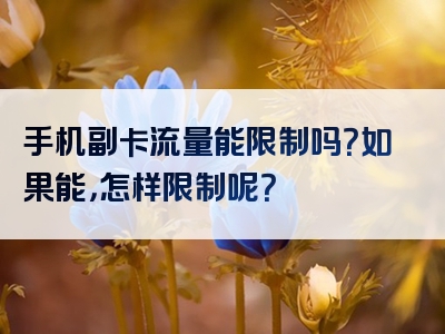 手机副卡流量能限制吗？如果能，怎样限制呢？