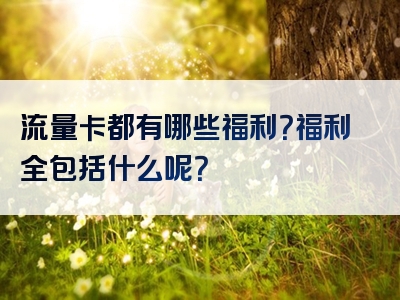 流量卡都有哪些福利？福利全包括什么呢？