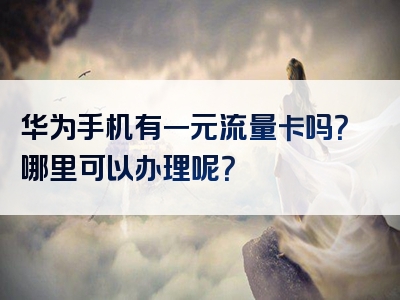 华为手机有一元流量卡吗？哪里可以办理呢？