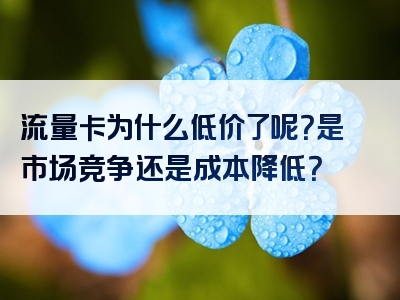 流量卡为什么低价了呢？是市场竞争还是成本降低？