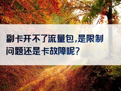 副卡开不了流量包，是限制问题还是卡故障呢？