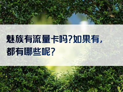 魅族有流量卡吗？如果有，都有哪些呢？