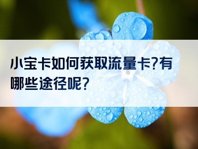 小宝卡如何获取流量卡？有哪些途径呢？