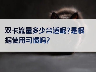 双卡流量多少合适呢？是根据使用习惯吗？