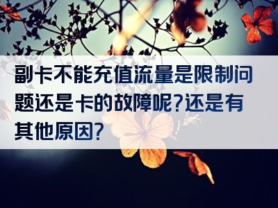 副卡不能充值流量是限制问题还是卡的故障呢？还是有其他原因？