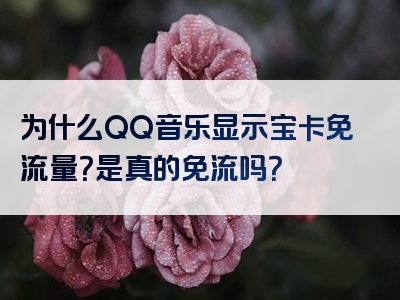 为什么QQ音乐显示宝卡免流量？是真的免流吗？