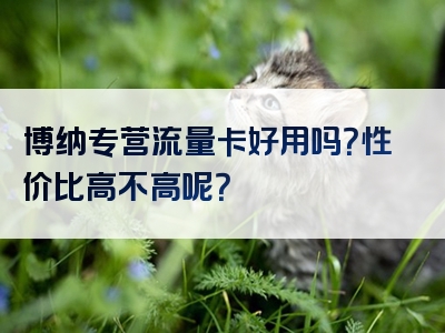 博纳专营流量卡好用吗？性价比高不高呢？