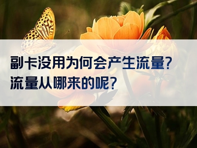 副卡没用为何会产生流量？流量从哪来的呢？