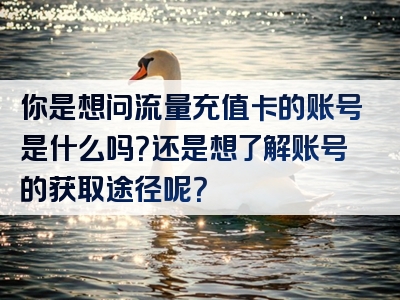 你是想问流量充值卡的账号是什么吗？还是想了解账号的获取途径呢？