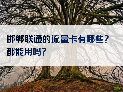 邯郸联通的流量卡有哪些？都能用吗？