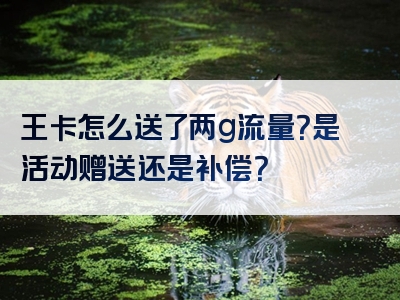 王卡怎么送了两g流量？是活动赠送还是补偿？
