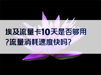 埃及流量卡10天是否够用？流量消耗速度快吗？