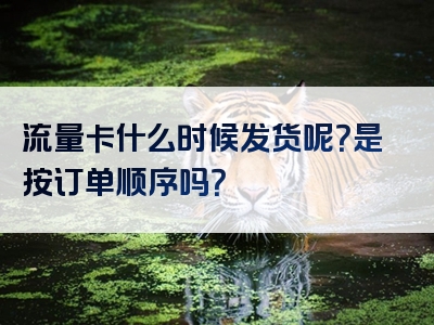 流量卡什么时候发货呢？是按订单顺序吗？