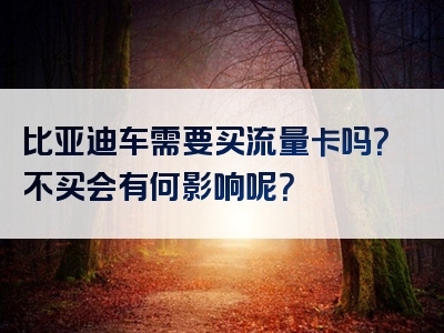 比亚迪车需要买流量卡吗？不买会有何影响呢？