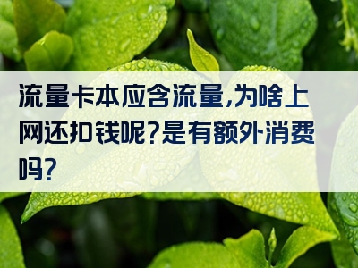 流量卡本应含流量，为啥上网还扣钱呢？是有额外消费吗？