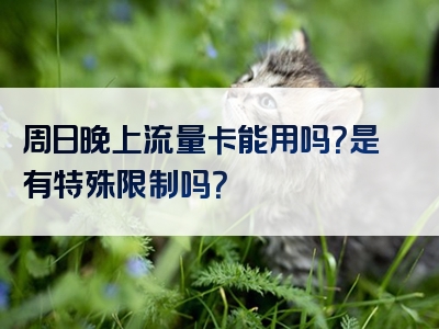 周日晚上流量卡能用吗？是有特殊限制吗？