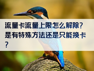 流量卡流量上限怎么解除？是有特殊方法还是只能换卡？