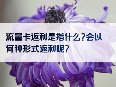 流量卡返利是指什么？会以何种形式返利呢？