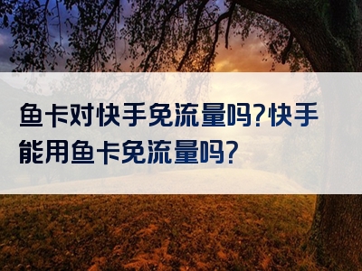 鱼卡对快手免流量吗？快手能用鱼卡免流量吗？