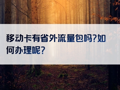移动卡有省外流量包吗？如何办理呢？