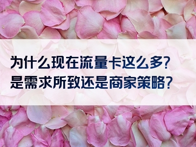 为什么现在流量卡这么多？是需求所致还是商家策略？