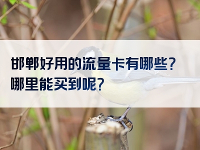邯郸好用的流量卡有哪些？哪里能买到呢？