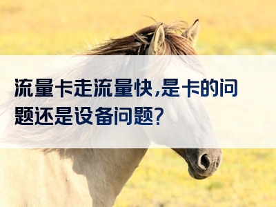 流量卡走流量快，是卡的问题还是设备问题？
