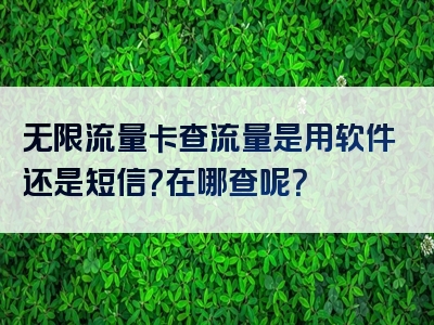 无限流量卡查流量是用软件还是短信？在哪查呢？