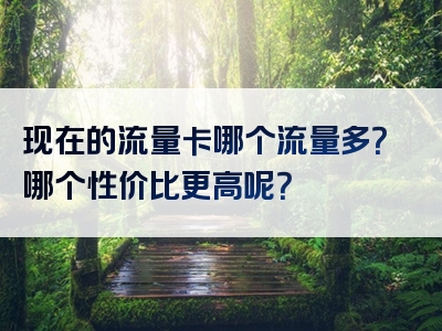 现在的流量卡哪个流量多？哪个性价比更高呢？