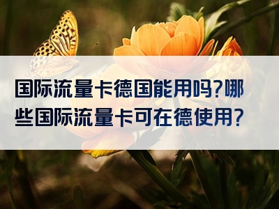 国际流量卡德国能用吗？哪些国际流量卡可在德使用？