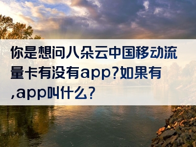 你是想问八朵云中国移动流量卡有没有app？如果有，app叫什么？