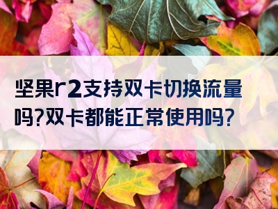 坚果r2支持双卡切换流量吗？双卡都能正常使用吗？