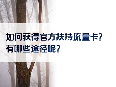 如何获得官方扶持流量卡？有哪些途径呢？