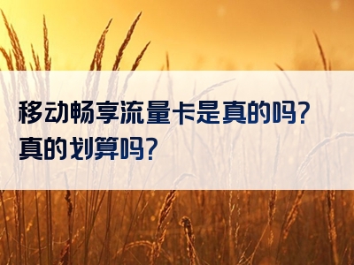 移动畅享流量卡是真的吗？真的划算吗？
