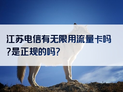 江苏电信有无限用流量卡吗？是正规的吗？